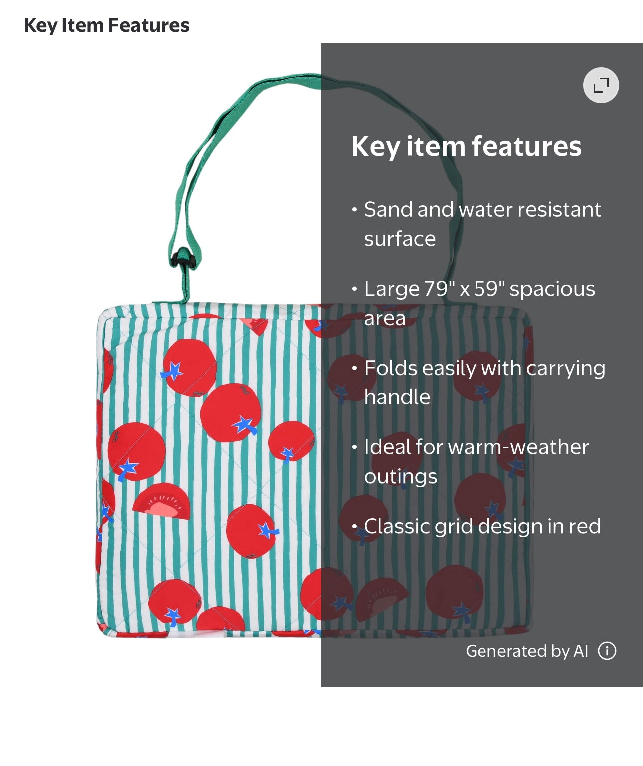 Mainstays Outdoor Blanket 59inx79in