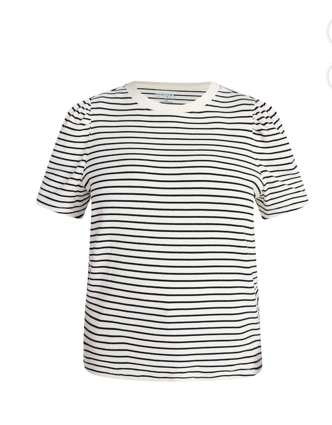 Terra & Sky Women's Plus Size Crewneck Top with Short Puff Sleeves