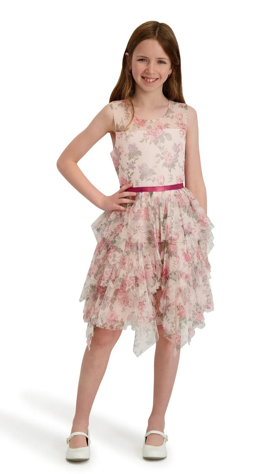 Kensie Girl Floral Mesh Sleeveless Ruffle Dress