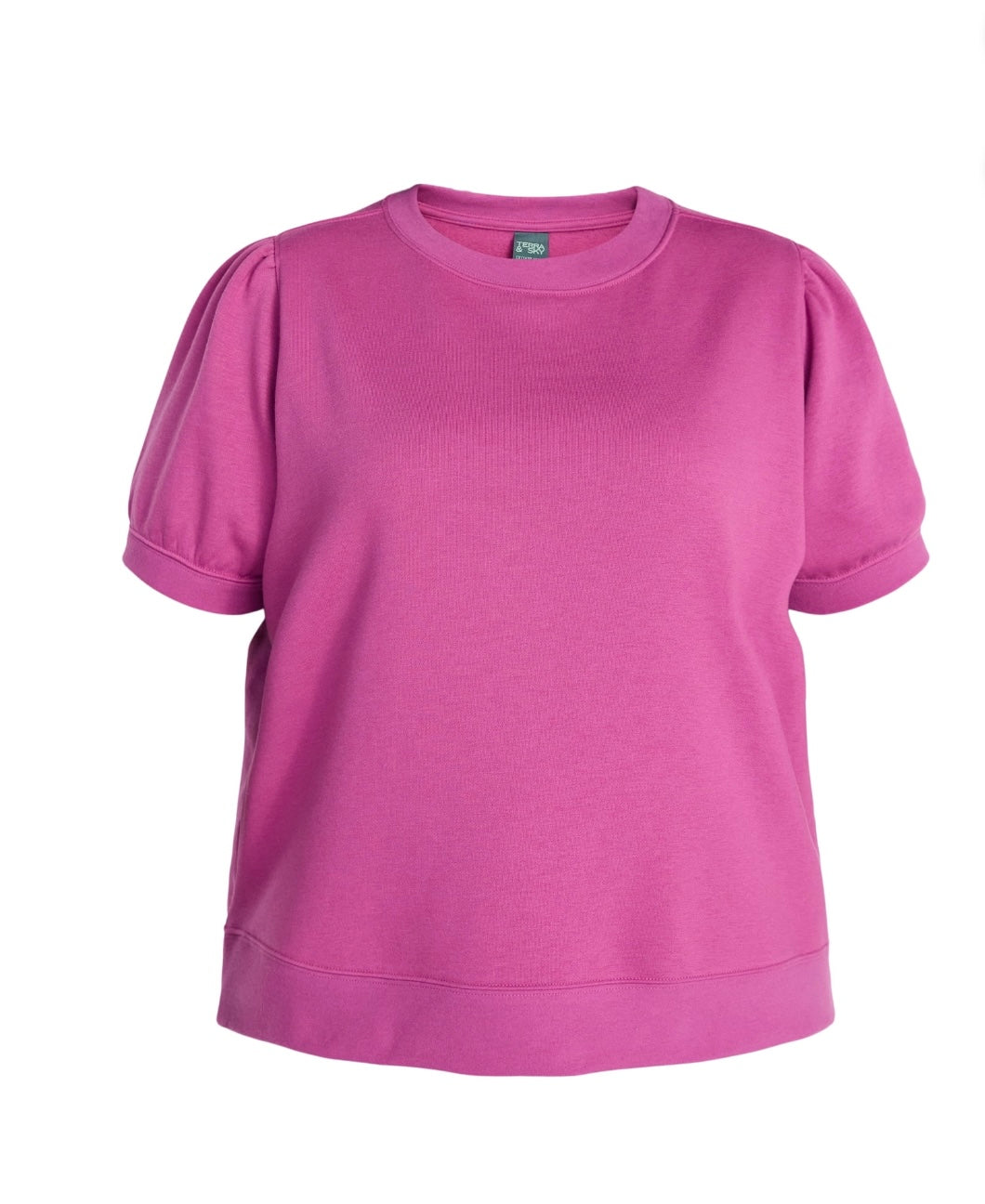 Terra & Sky Women's Plus Size Sweatshirt with Short Puff Sleeves