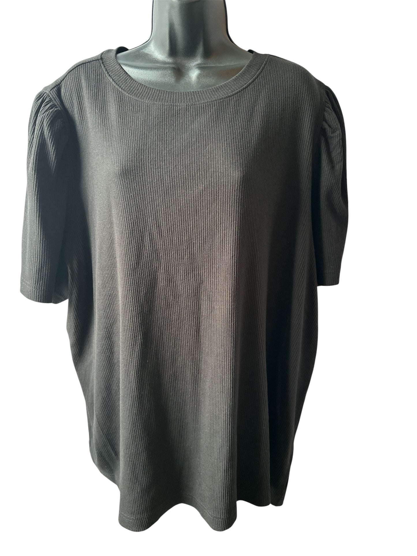 Terra & Sky Women's Plus Size Crewneck Top with Short Puff Sleeves