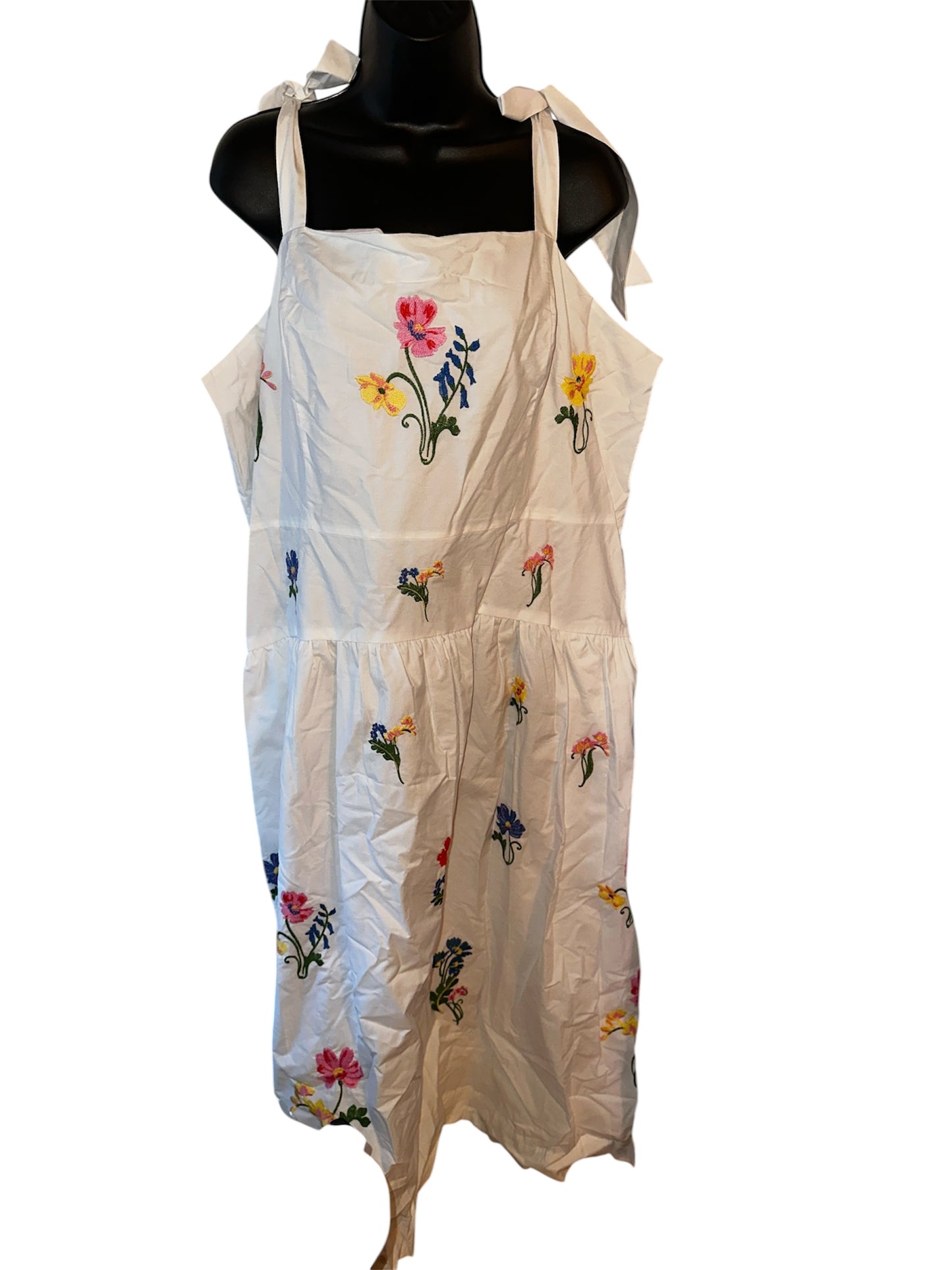 Embroidered Sleeveless Cotton Maxi Dress for Women from Free Assembly